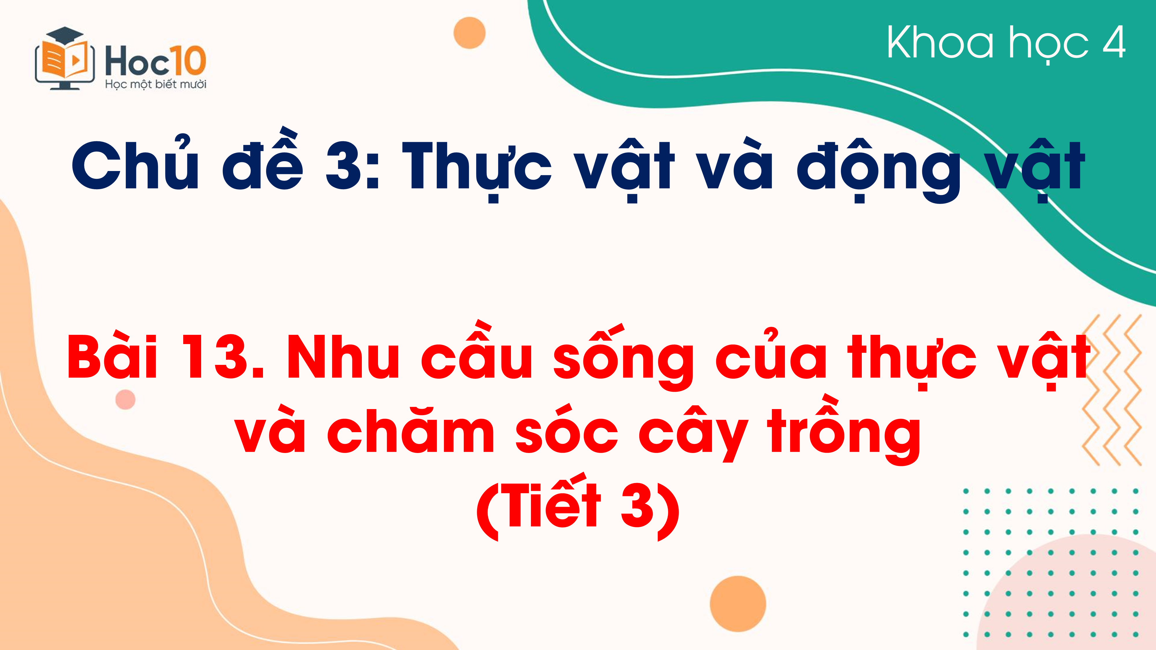 Chủ đề 3 - Bài 13 Nhu cầu sống của thực vật và chăm sóc cây trồng (Tiết 3)